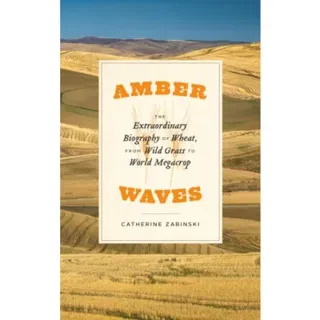 Amber Waves