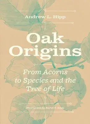Oak Origins