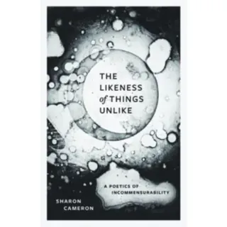 The Likeness of Things Unlike