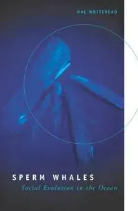 Sperm Whales