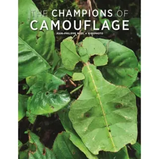 The Champions of Camouflage