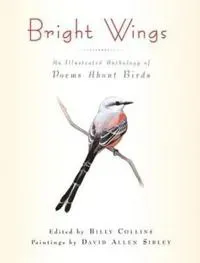 Bright Wings