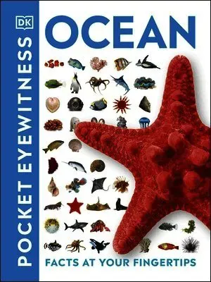 Ocean