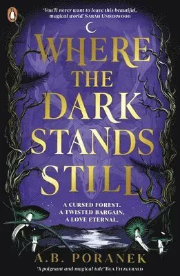 Where the Dark Stands Still