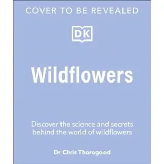 Wildflowers