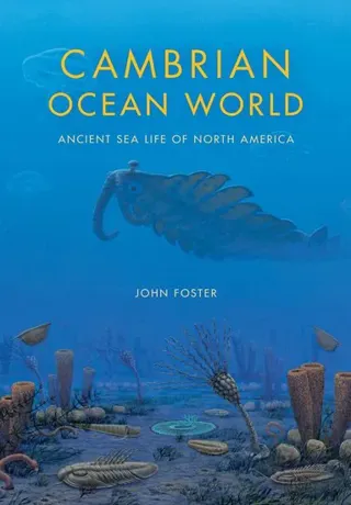 Cambrian Ocean World