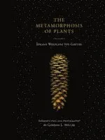 Metamorphosis of Plants