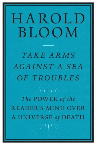 Take Arms Against a Sea of Troubles