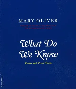 What Do We Know