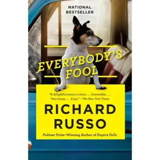 Everybodys fool - a novel
