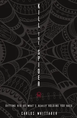 Kill the Spider