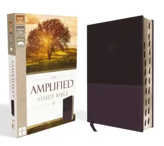 The Amplified Study Bible, Leathersoft, Purple, Thumb Indexed