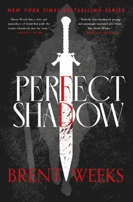 Perfect Shadow