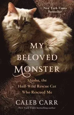 My Beloved Monster : Masha, the Half-Wild Rescue Cat Who Rescued Me