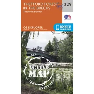 Thetford Forest in the Brecks