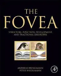 The Fovea