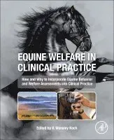 Equine Welfare in Clinical Practice