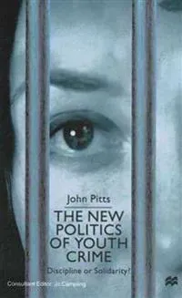The New Politics of Youth Crime
