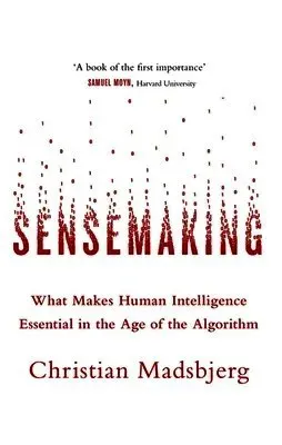 Sensemaking