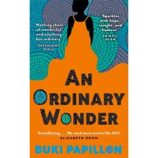 An Ordinary Wonder