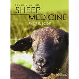Sheep Medicine