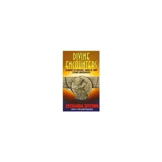 Divine Encounters: A Guide To Visions, Angels & Other Emissa