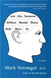 Just Like Someone Without Mental Illness Only More So