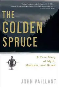 Golden Spruce