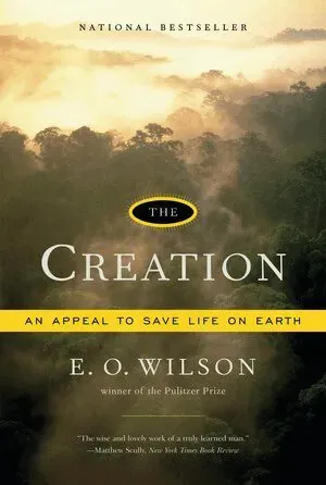 The Creation