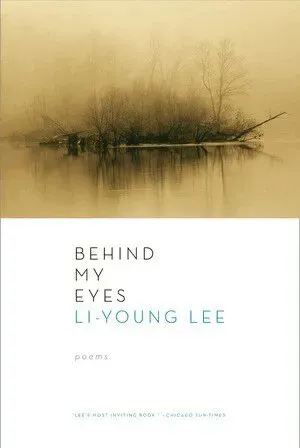 Behind My Eyes