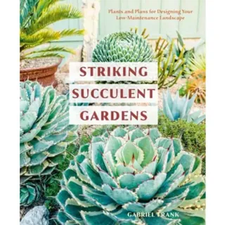 Striking Succulent Gardens