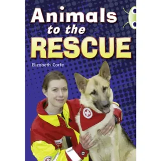 Bug Club Guided Non Fiction Year 2 Gold B Animals to the Rescue
