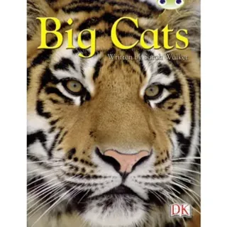 BC NF Brown B/3B Big Cats
