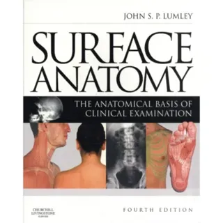 Surface Anatomy