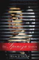 The Spinoza Problem