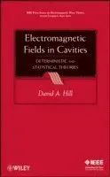 Electromagnetic Fields in Cavities