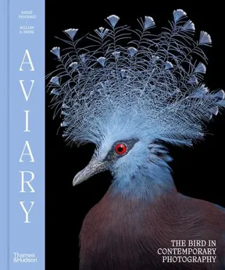 Aviary