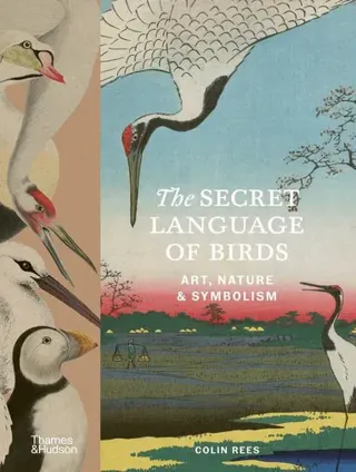 Secret Language of Birds