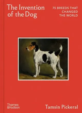 Invention of the Dog