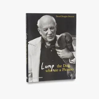 Lump: the dog who ate a picasso