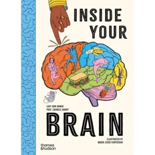 Inside Your Brain