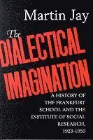 The Dialectical Imagination