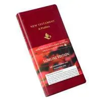 NRSV New Testament and Psalms, Burgundy Imitation leather, NR012:NP