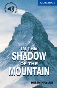 In the Shadow of the Mountain Level 5
