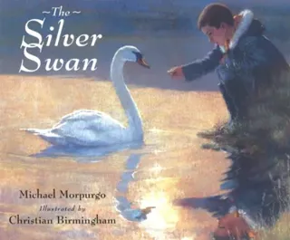 Silver swan