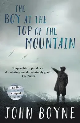 Boy at the Top of the Mountain