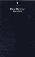 Blackbird