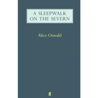 A Sleepwalk on the Severn