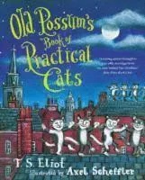 Old possums book of practical cats