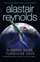 Diamond Dogs, Turquoise Days